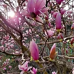Il Paradiso Degli Dei Daire