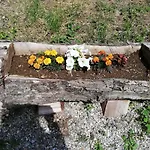 Il Paradiso Degli Dei