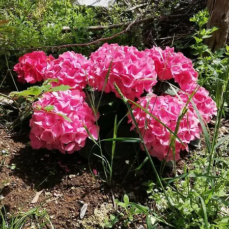 Il Paradiso Degli Dei Agerola