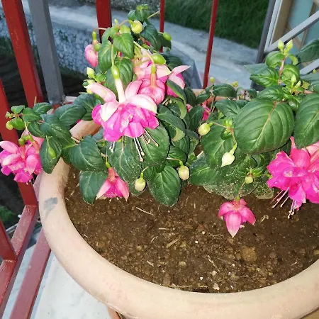 Διαμέρισμα Il Paradiso Degli Dei