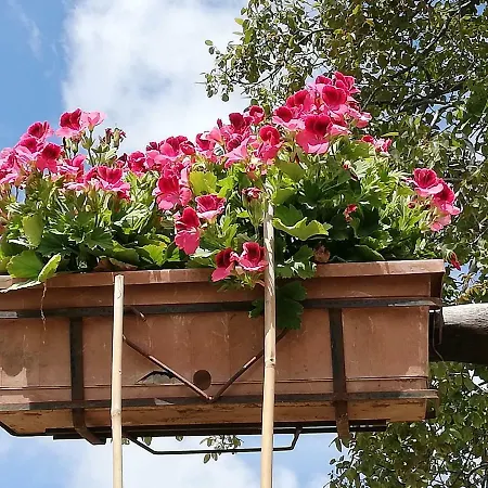 Il Paradiso Degli Dei