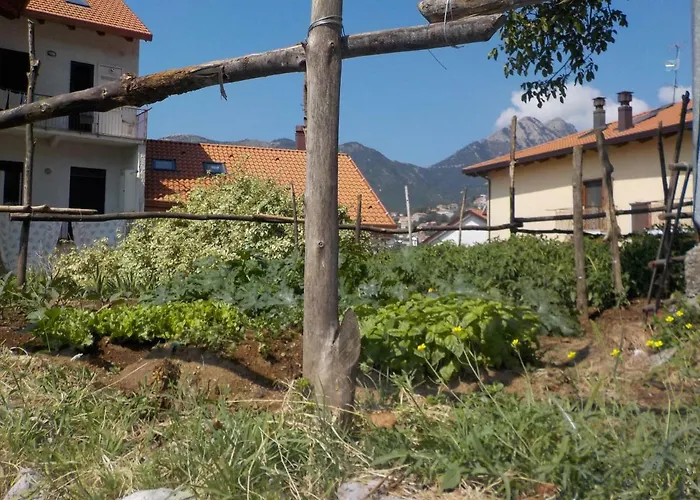 Il Paradiso Degli Dei *