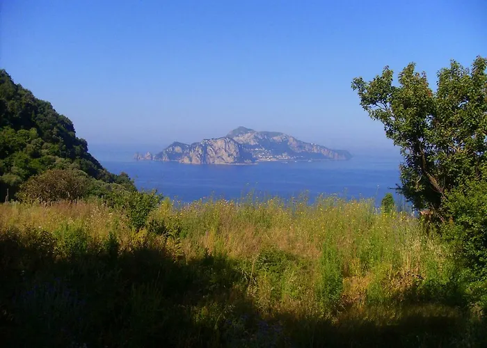 Il Paradiso Degli Dei