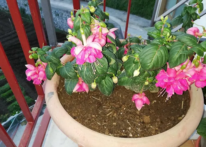 Lägenhet Il Paradiso Degli Dei