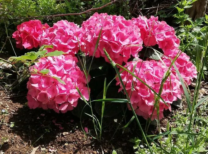 Il Paradiso Degli Dei Agerola