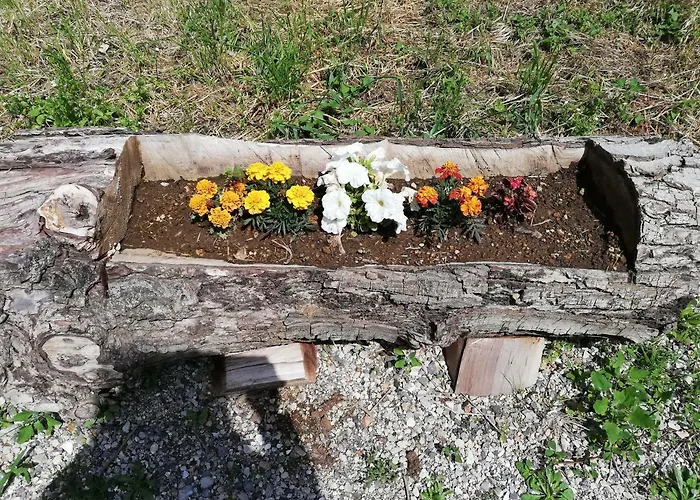 Il Paradiso Degli Dei