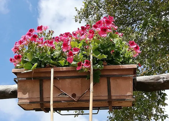 Il Paradiso Degli Dei